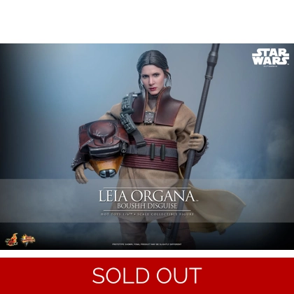 Hot Toys - Star Wars: Return of the Jedi - 1/6th scale Leia Organa (Boushh Disguise)